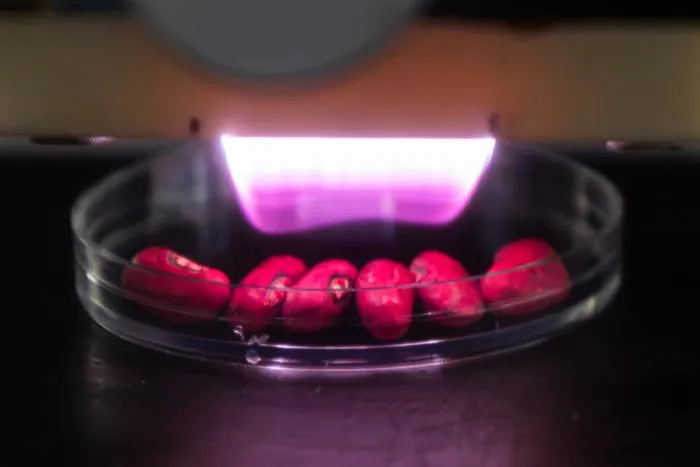 Low temperature plasma seed treatment
