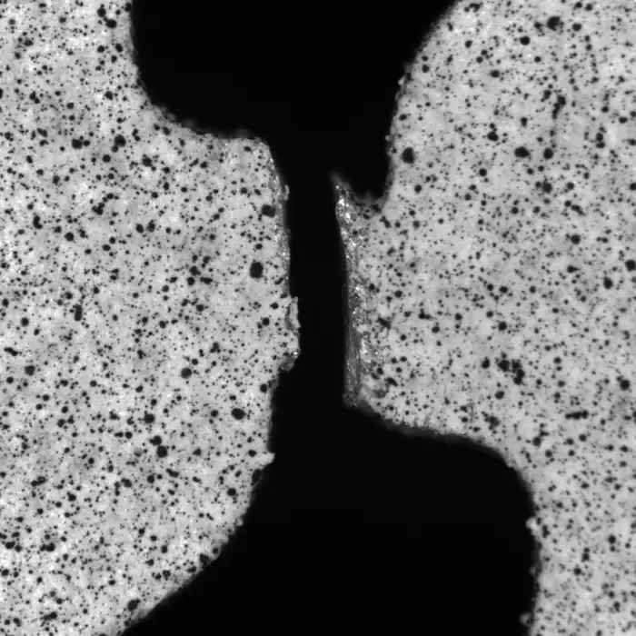 Microscopic image of a typical laminography tensile test sample after a component part failed under shear loading. (Photo: Mathias Hurst, KIT)