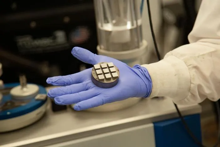 AI-designed samples of nickel-cobalt-chromium alloys
