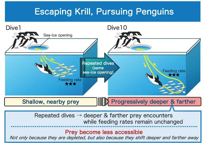 Schematic illustration