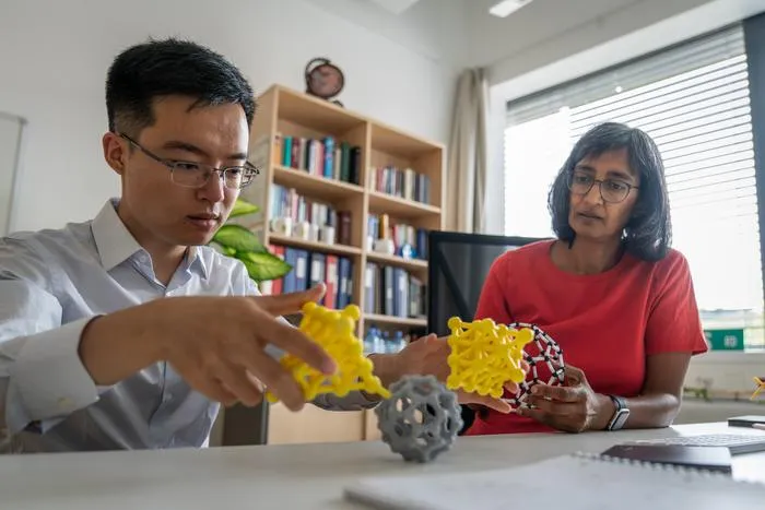Quantum phenomenon seen in 'nanohoops' also applies to nano ‘soccer balls’
