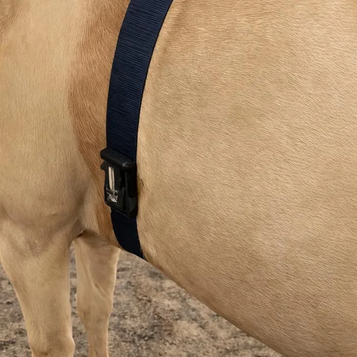 Horse heart-rate belt