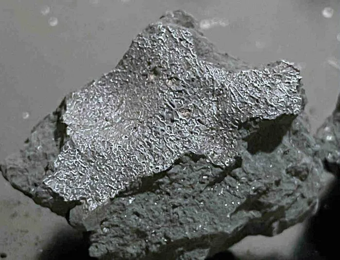 Fragment