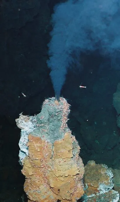 A hydrothermal vent in Lau Basin.