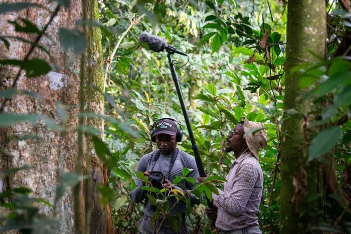 Field Work