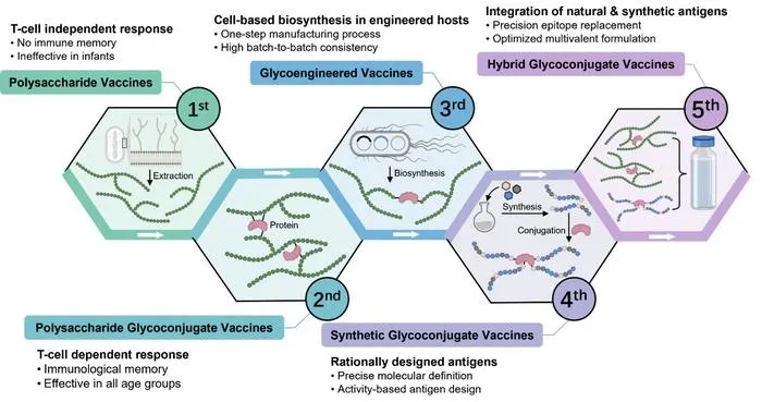 Historical and future perspective of carbohydrate-based vaccines against bacterial infections