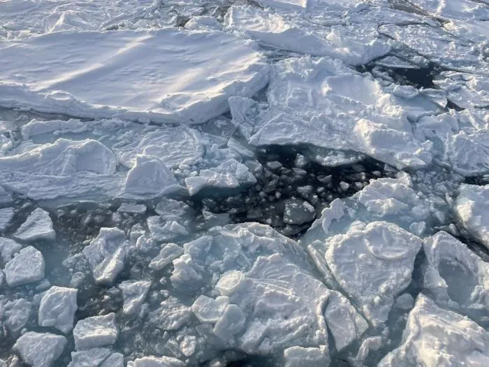 Sea ice photo