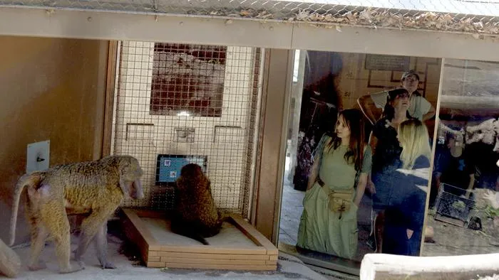 The Primate Portal