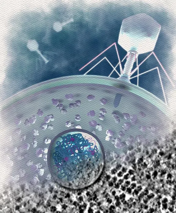 Jumbo phage
