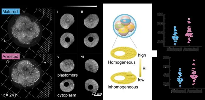 KAIST’s Advanced Oocyte and Embryo Analysis Technology to Improve IVF Success Recognized at Leading Global Conference