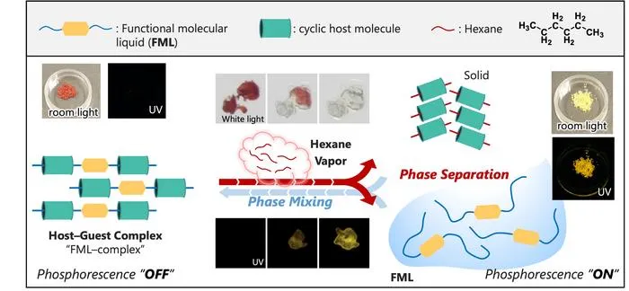 Vapor-controlled reversible binding between host–guest molecules