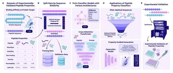 How PeptiVerse Works