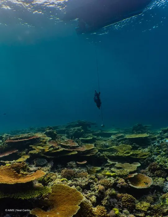 Seawater sampling Great Barrier Reef