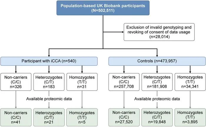 Overview of the analysed cohorts in the UK Biobank.