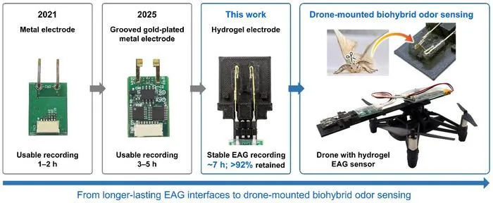 Evolution of EAG electrodes toward drone-mounted biohybrid odor sensing