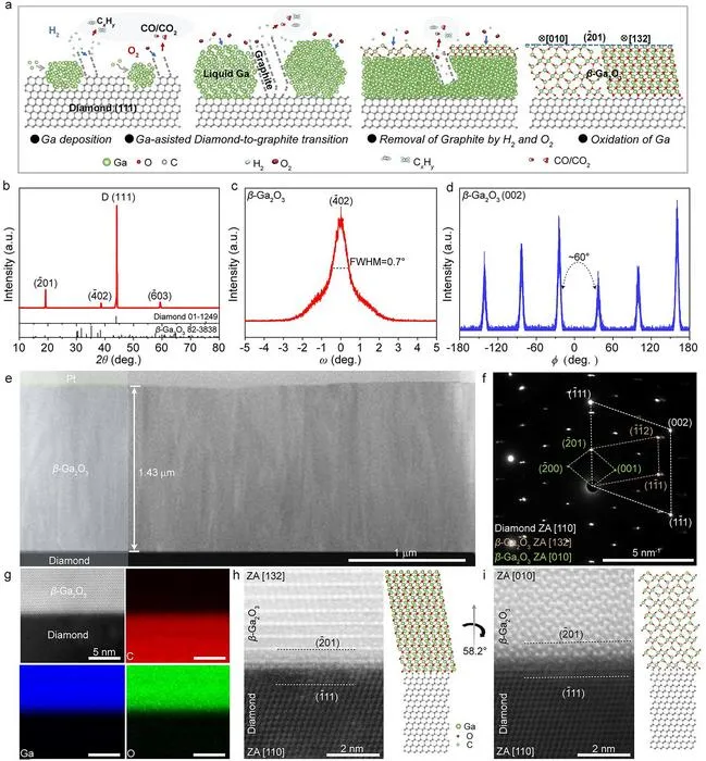 The metal-assisted epitaxy mechanism and structure of β-Ga2O3/diamond heterostructure.