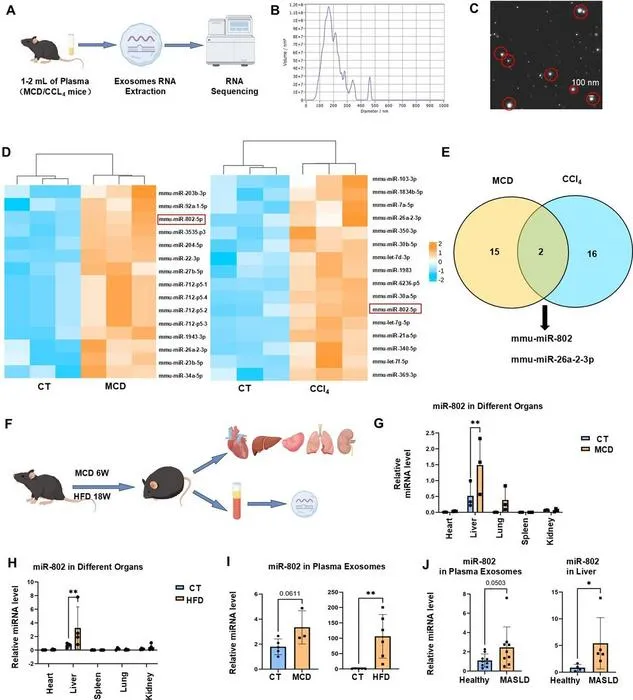 MiRNA expression in plasma exosomes of chronic liver injury mice.