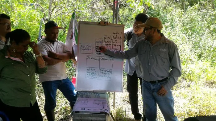 Trust among farmers is key to scaling climate-smart innovations