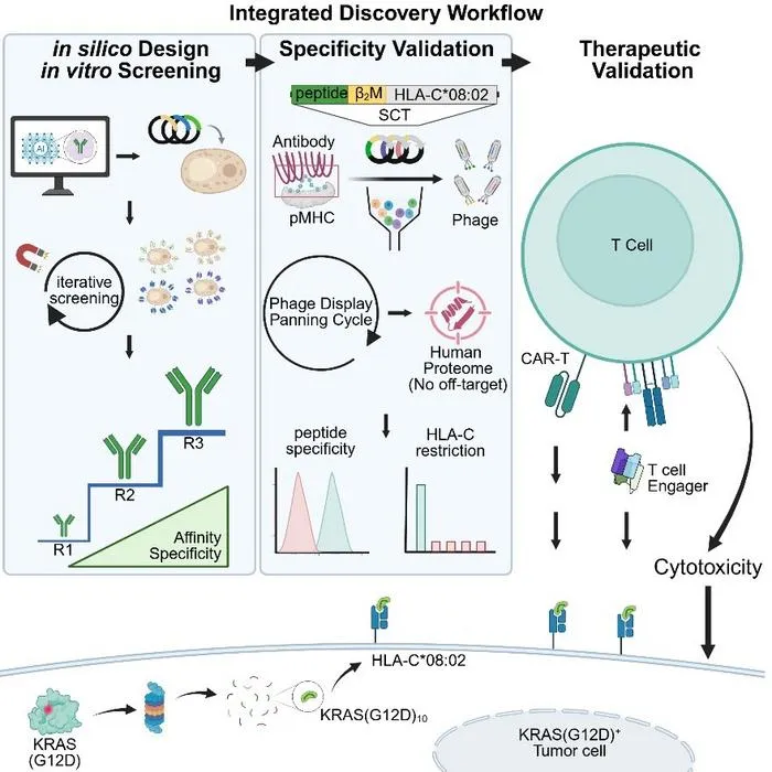 KAIST Gives Antibodies “Eyes” to Detect Cancer, Targeting Cancer Mutations Inside Cells