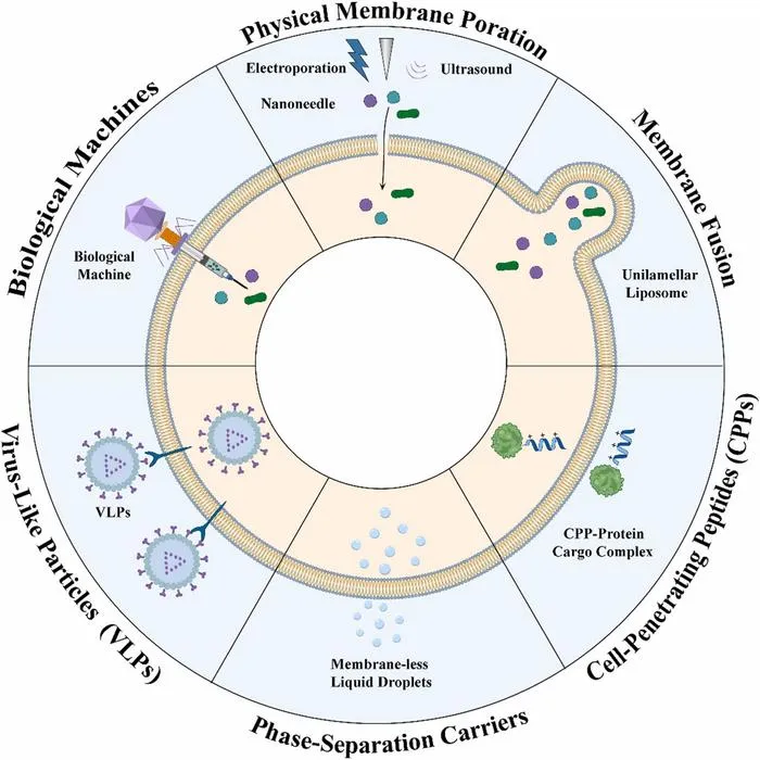 Overview of non-endocytic independent delivery strategies