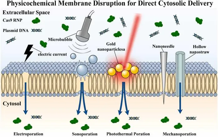 Physicochemical membrane disruption strategies for direct cytosolic delivery