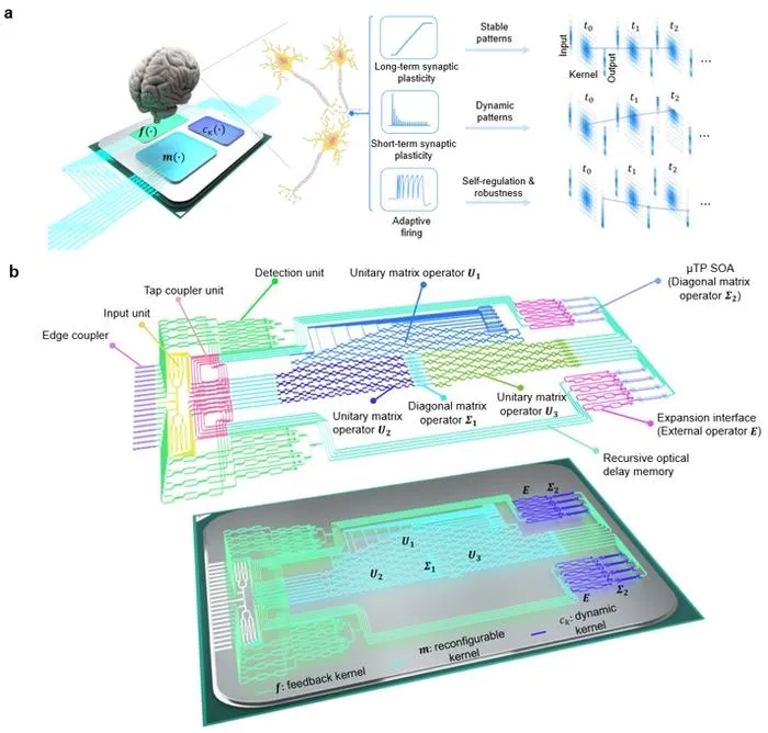 Figure 1：Architecture of Temporally Plastic Photonic Processor. The TPPP is built by the feedback kernel, reconfigurable kernel, and the dynamic kernel. TPPP allows for multi-timescale processing with integrated photonics.