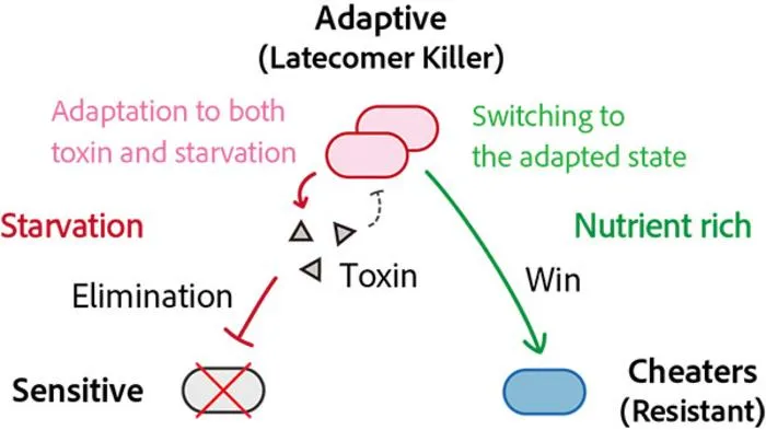 Schematic diagram