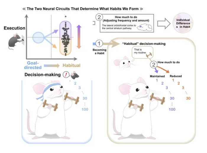Habit forming mice - main image
