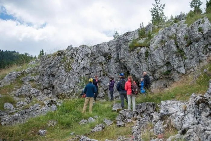 Citizen scientists and researchers from Taxon Expeditions searching for land snails