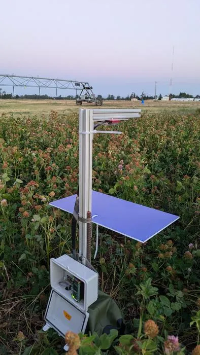 Bumblebee trap
