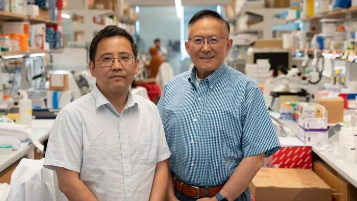Jun Xie, PhD and Guangping Gao, PhD