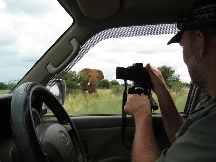 Investigating the adaptive coping mechanisms of rewilded elephants: A comparison of behavioural and physiological variables with wild elephants