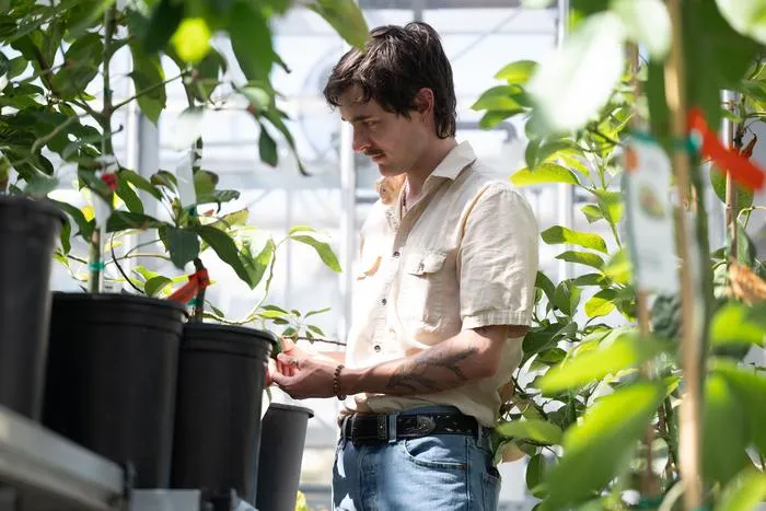 Jeffrey Groh in greenhouse