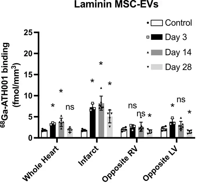 Mice treated with exosomes (MSC-EV), Figure 3E