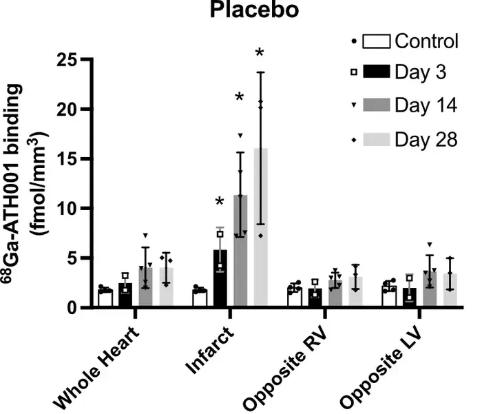 Placebo mice, Figure 3D