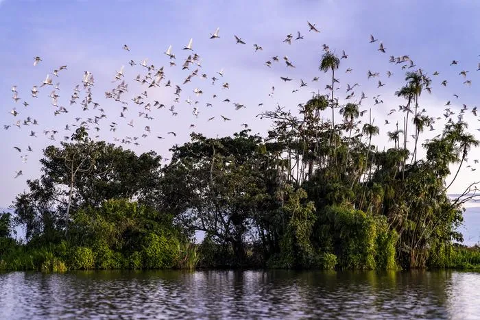 Beni Biosphere Reserve (Bolivia)