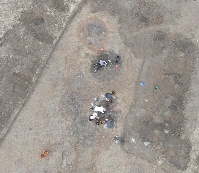 Students from the University of Vienna clearing the Roman-period finds in Area F1