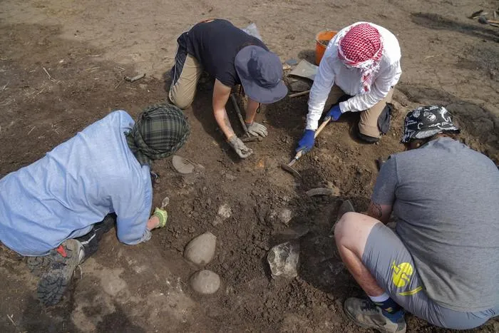 Students from the University of Vienna clearing the Roman-period finds in Area F1