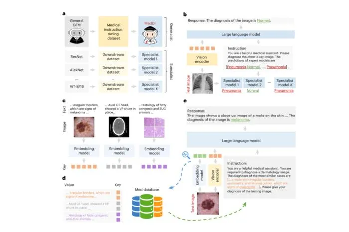 Illustration of GSCo’s two core collaboration mechanisms. In Mixture-of-Expert Diagnosis (MoED, top), multiple lightweight specialist models are independently trained on the downstream dataset. During inference, the test image is fed to all specialist m