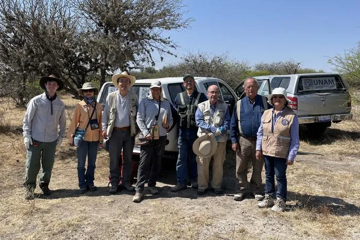 Field work
