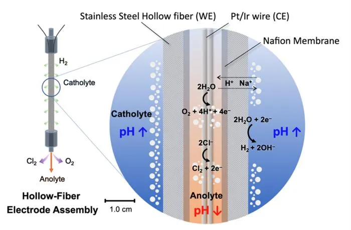 KAIST Develops Marine Carbon Removal Technology That Turns Carbon Dioxide in Seawater into “Stone” for Permanent