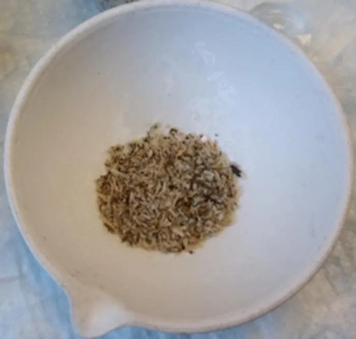 Microplastic particles after separation from soil