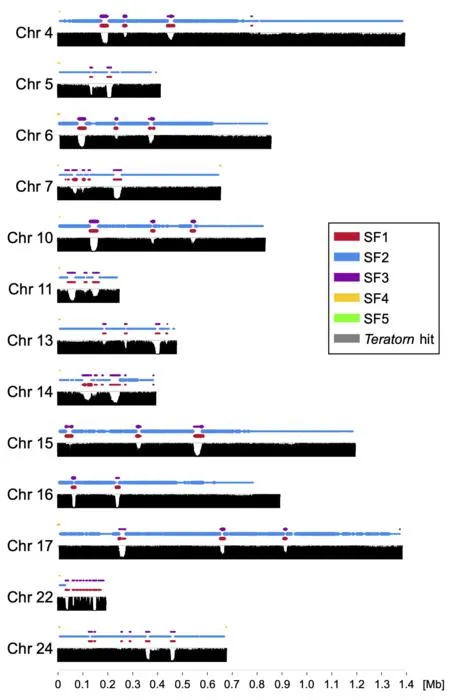 Centromeric regions of the acrocentric chromosomes (chromosomes whose centromere lies near one end) in the complete medaka genome (Southern Japanese strain)