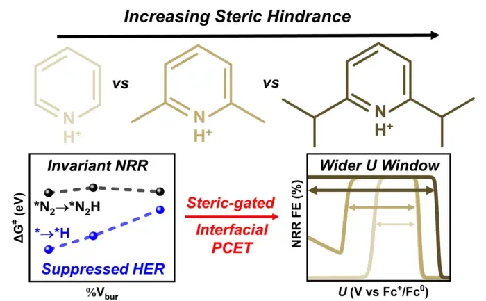 Schematic of asymmetric reaction rate control based on the steric donor–acceptor geometry of protons
