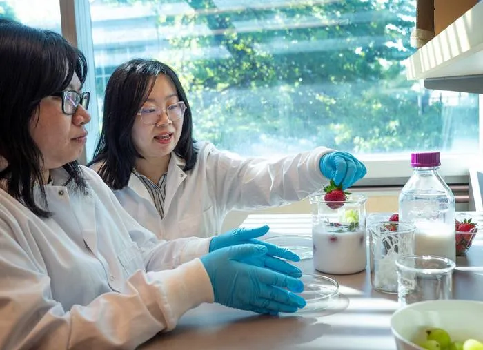 UBC doctoral student Ivy Chiu (l) and UBC assistant professor Dr. Tianxi Yang demonstrated their agar-based coating.