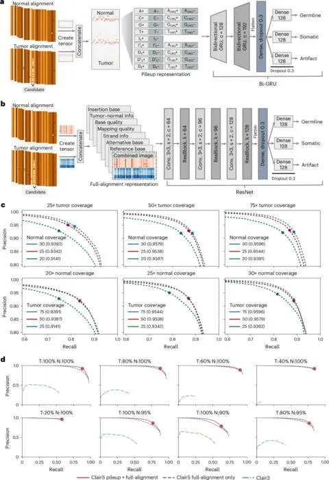 ClairS neural network architecture