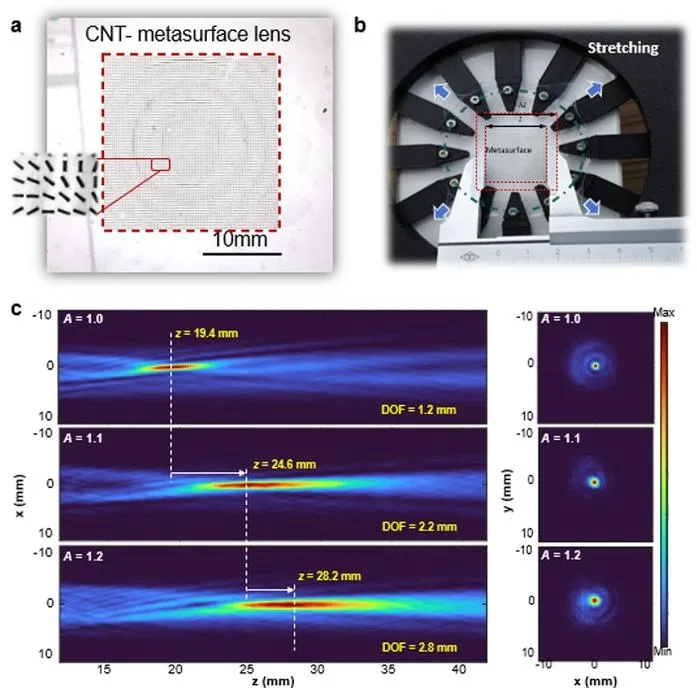 Figure 2 | Focal-length-tunable SWCNT-based metasurface lens.
