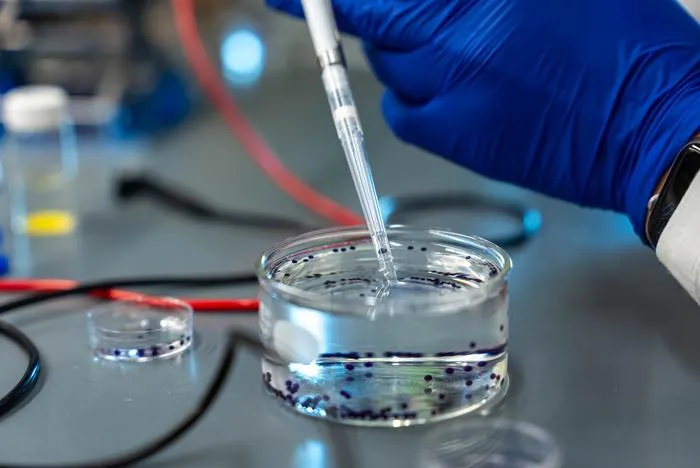 Rice bioengineers develop biochemical halo to cloak insulin-producing cells from body defenses