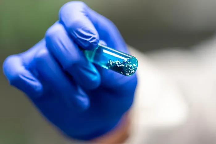Rice bioengineers develop biochemical halo to cloak insulin-producing cells from body defenses