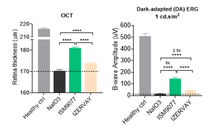 In dry AMD models, ISM9077 significantly improved retinal structural integrity and visual function.